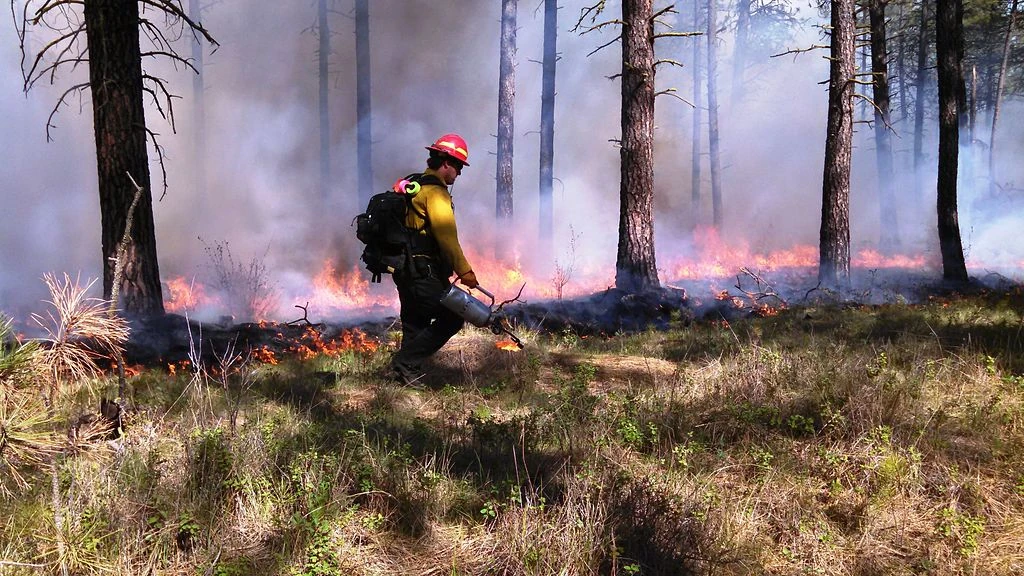 Pacific Northwest homeowner preparing for wildfire season