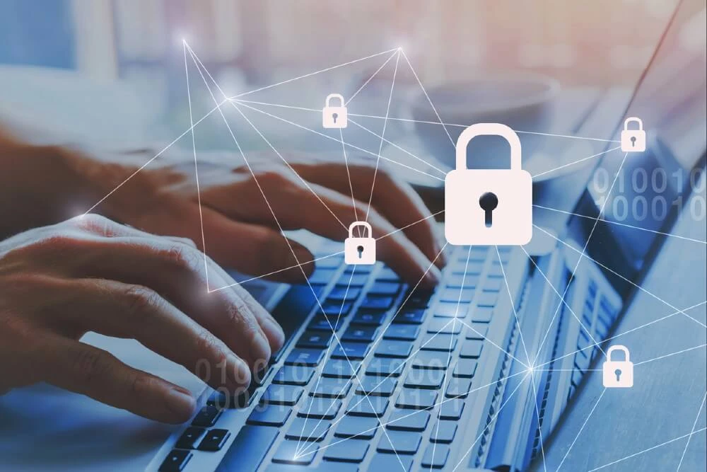 Small business owner reviewing cyber insurance options in Oregon Coast